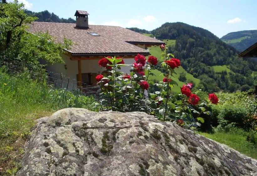 هتل Lafreiderhof