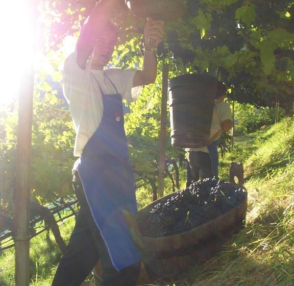 בית מלון כפרי Lafreiderhof