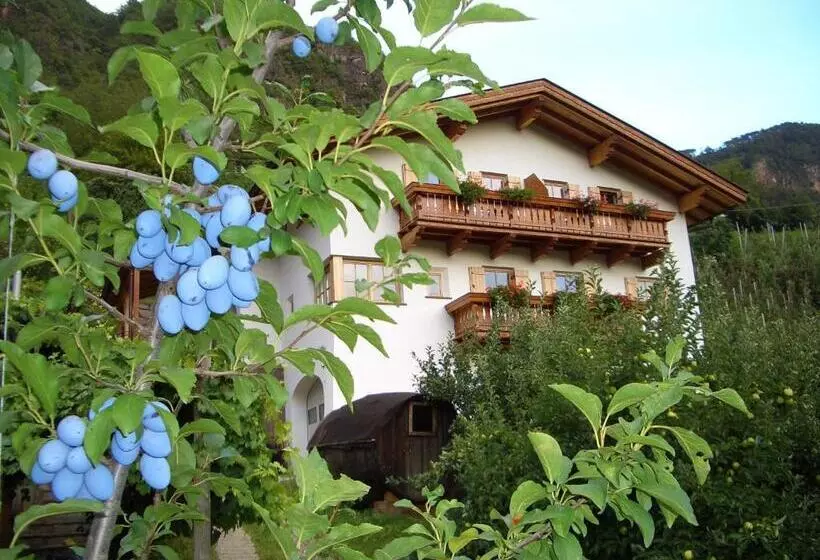 هتل Lafreiderhof