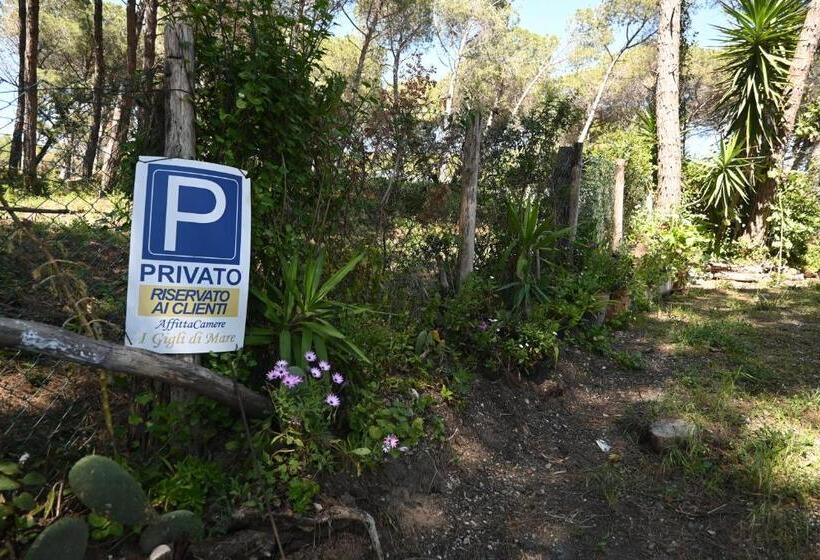 פנסיון Affittacamere I Gigli Di Mare