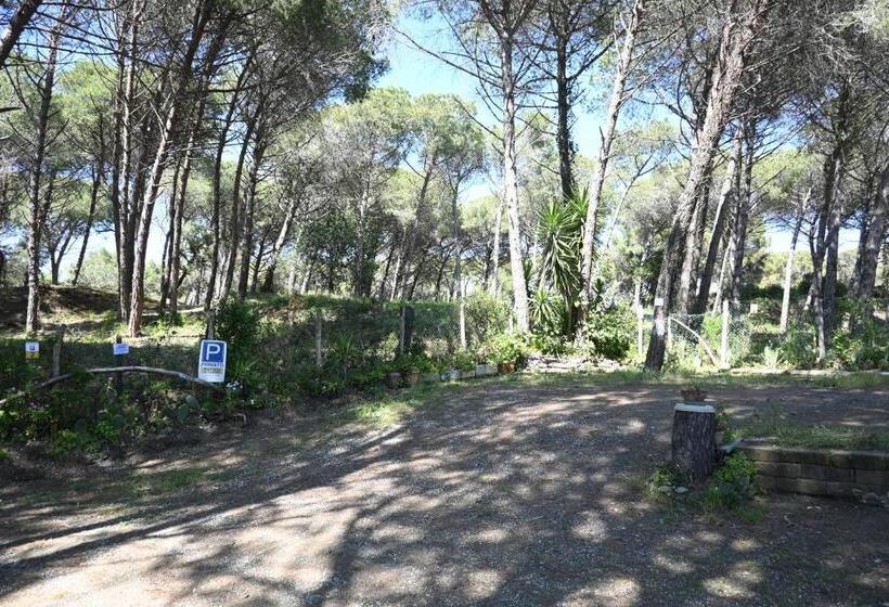 פנסיון Affittacamere I Gigli Di Mare