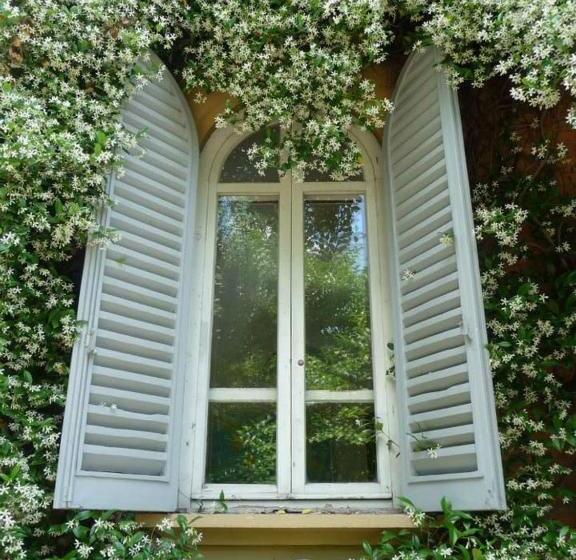 پانسیون I 4 Gatti