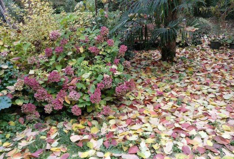 پانسیون I 4 Gatti