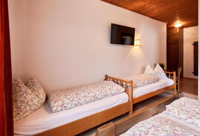 Ferienpension Zummüllerhof