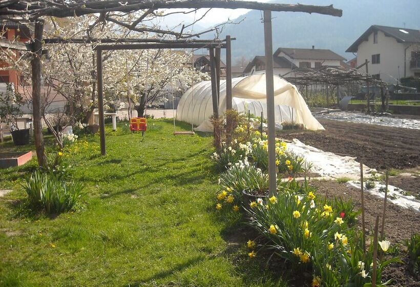 Отель Agriturismo Bortolotti