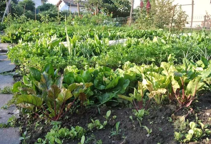 ホテル Agriturismo Bortolotti