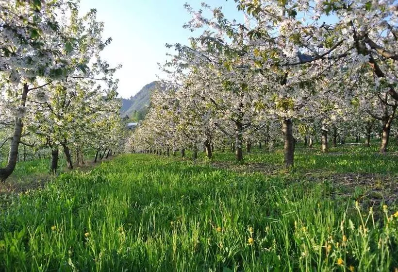 ホテル Agriturismo Bortolotti