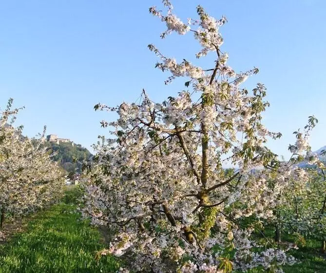 ホテル Agriturismo Bortolotti