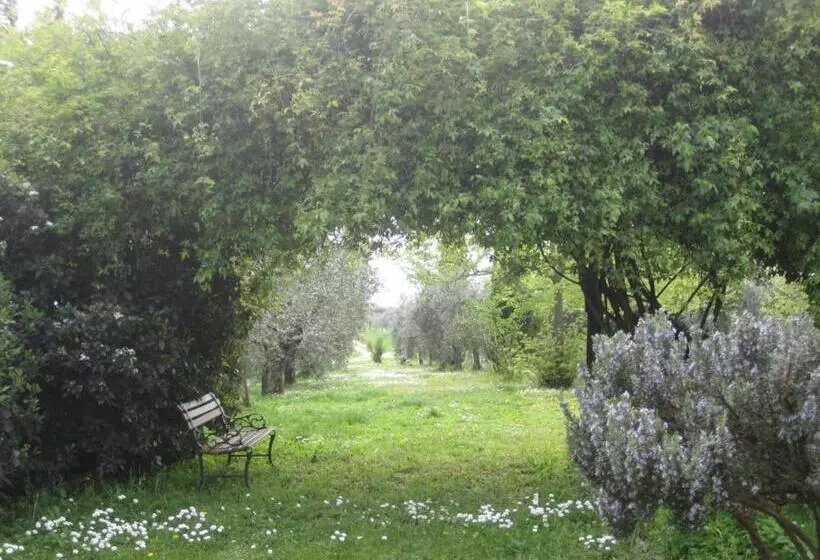 Hotelli Agriturismo Cornieto