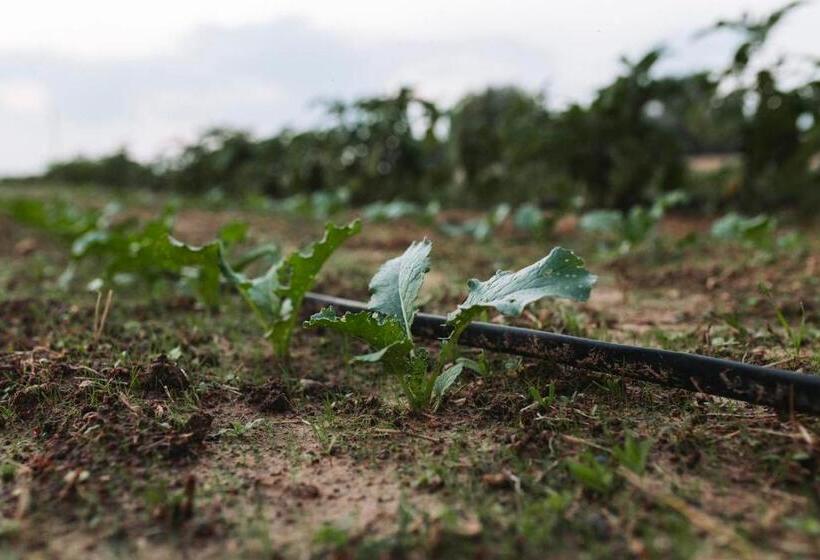 בית מלון כפרי Agriturismo Paradiso