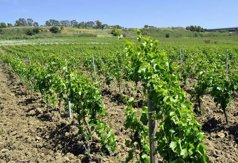 ホテル Fattoria Manostalla Villa Chiarelli