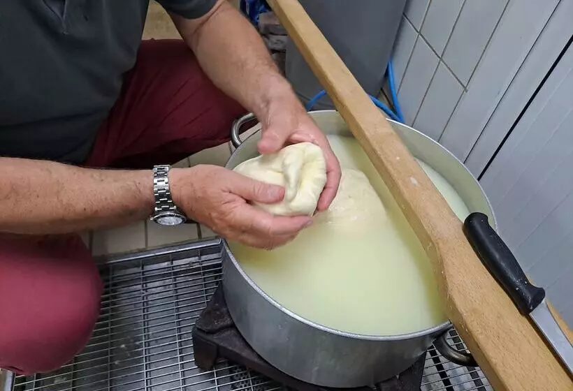 ホテル Fattoria Manostalla Villa Chiarelli