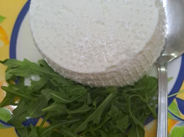 فندق Fattoria Manostalla Villa Chiarelli