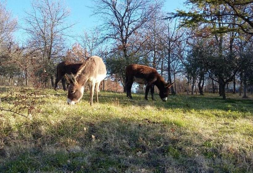 Отель La Tenuta Del Giglio
