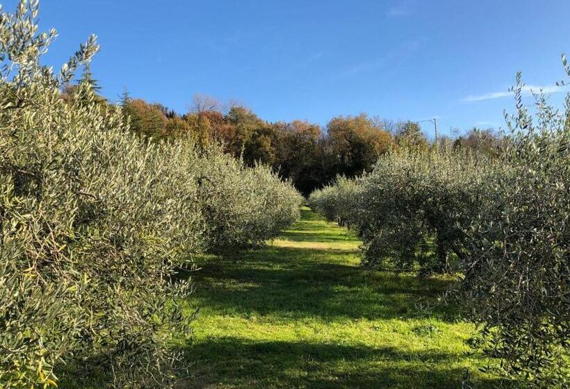 Отель La Tenuta Del Giglio