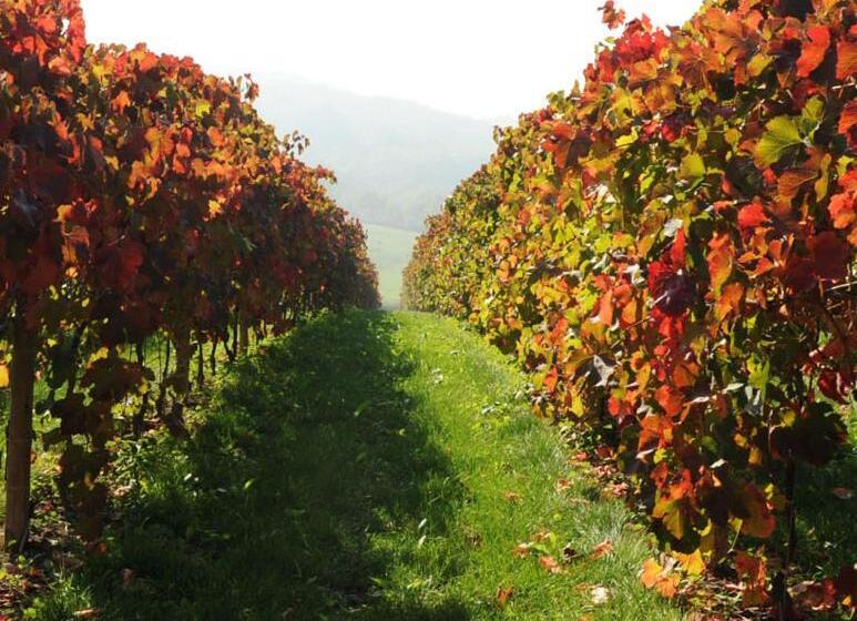 فندق Pianderna Agriwellness