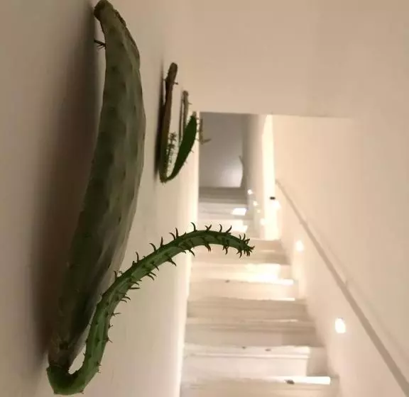 پانسیون Chichouse Guest House