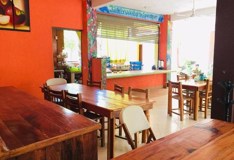 호텔 Club Diamante