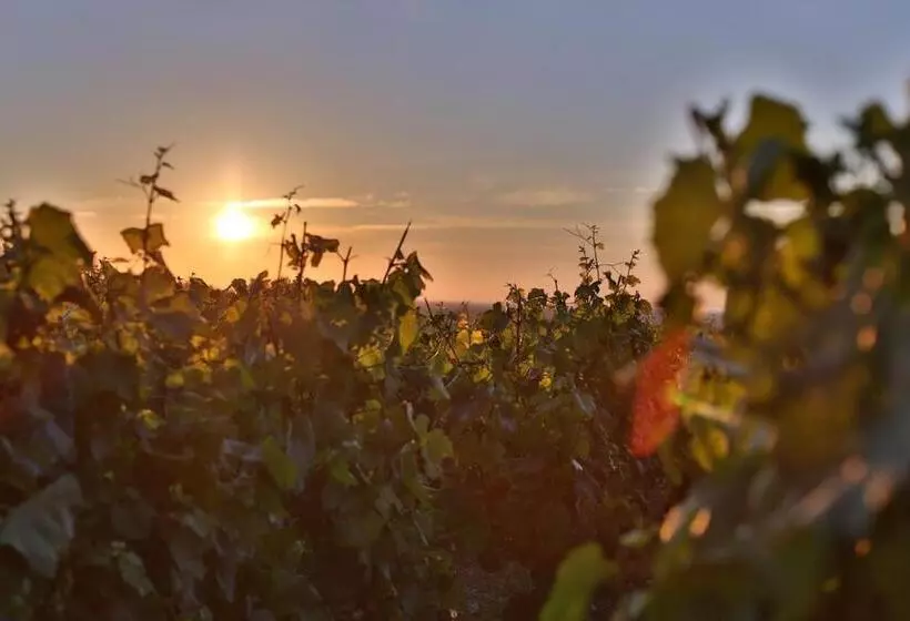 Majatalo Evidence Maison D Hôtes