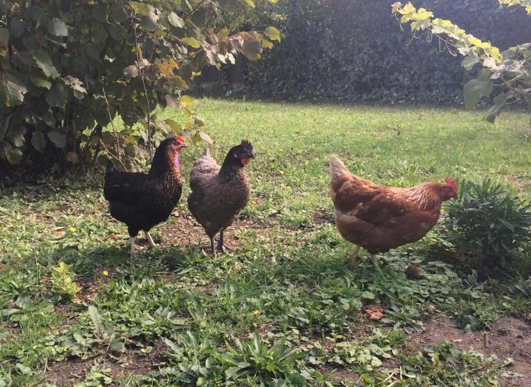 펜션 Maison D'hôtes Les Coudreaux