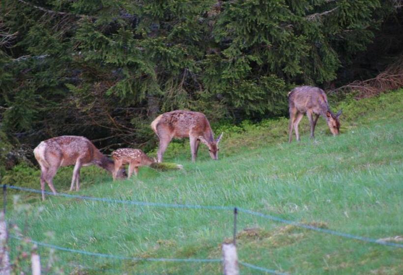膳宿费 Au Domaine De Py