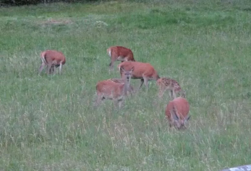 ペンション Au Domaine De Py
