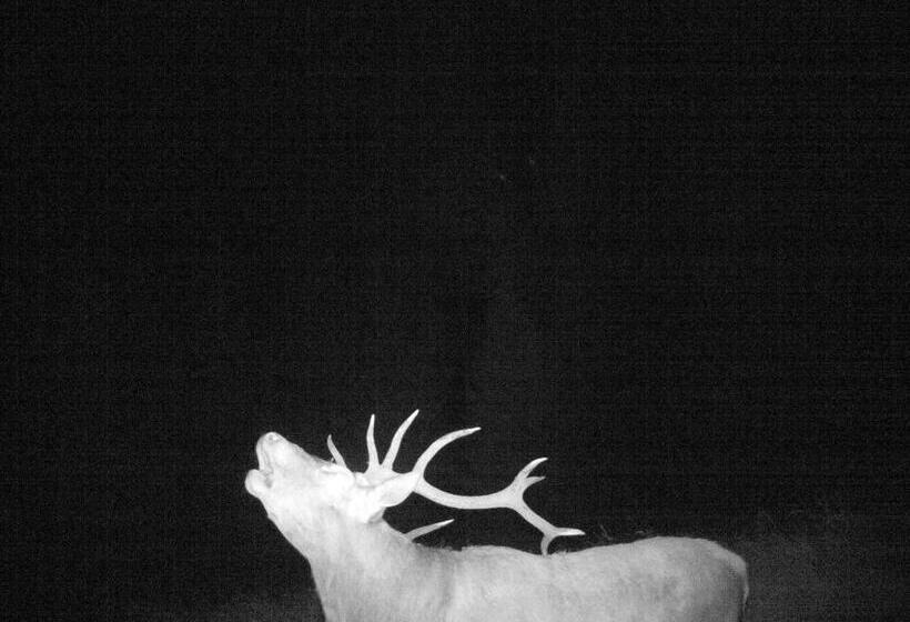 膳宿费 Au Domaine De Py