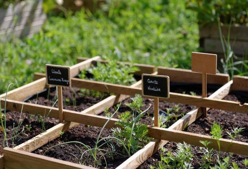 פנסיון Hermitage St Roch