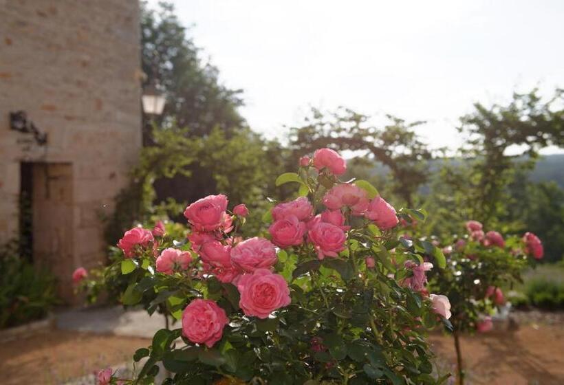 פנסיון Hermitage St Roch