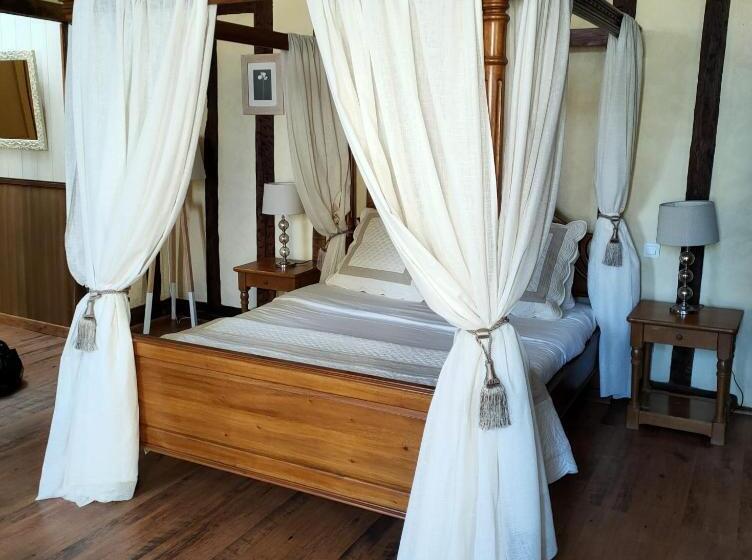 Пансион Cafe De France Eauze