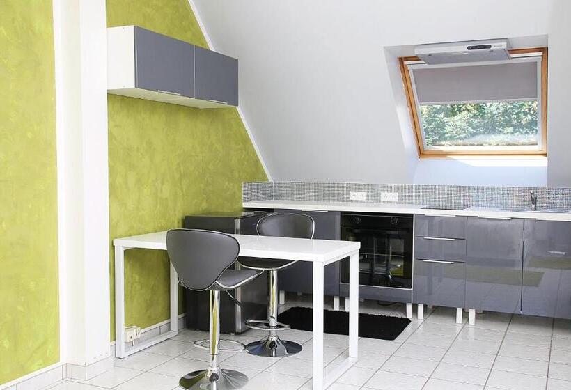 פנסיון L Eden Orly Aéroport