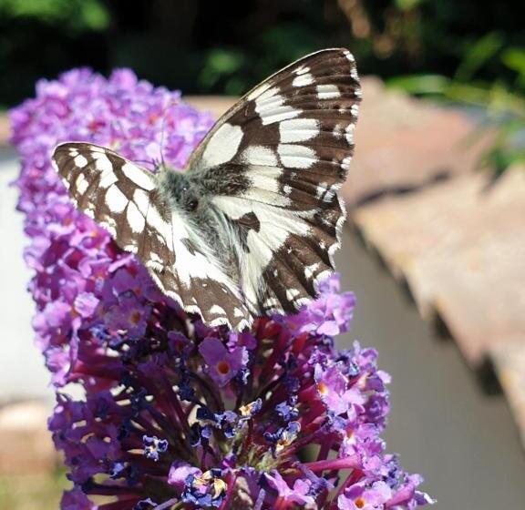 ペンション La Ruette Aux Loups