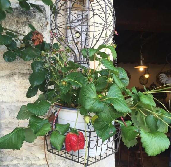 بنسيون Maison & Tartine