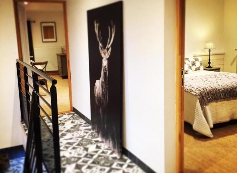 بنسيون Maison & Tartine