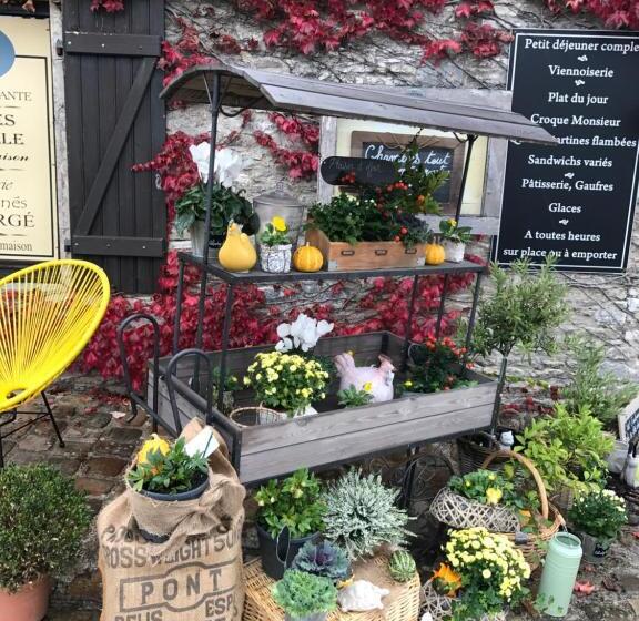 بنسيون Maison & Tartine