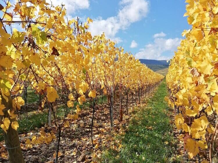 ベッドアンドブレックファースト Sylvie Fahrer Et Fils