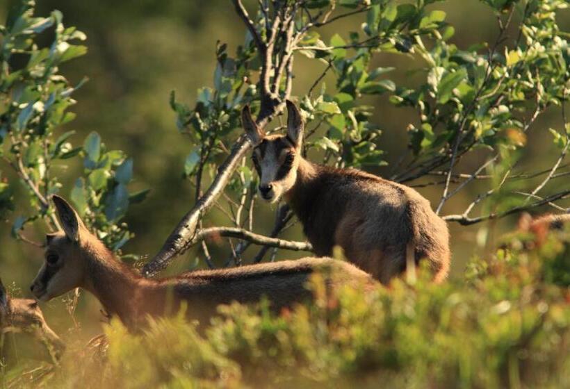 Le Couarôge Chalets Et Appartements