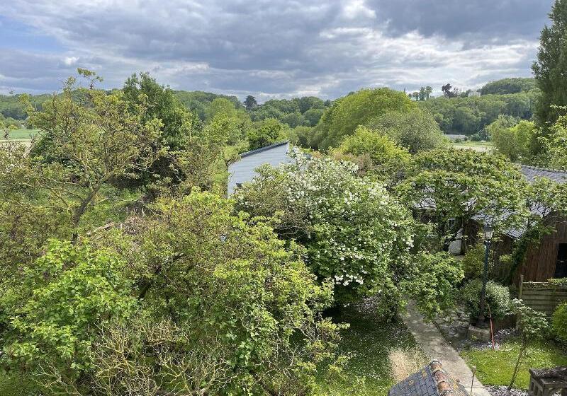 بنسيون Chambres D Hotes Fleur De Sel