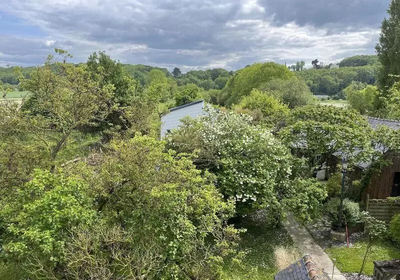 ペンション Chambres D Hotes Fleur De Sel