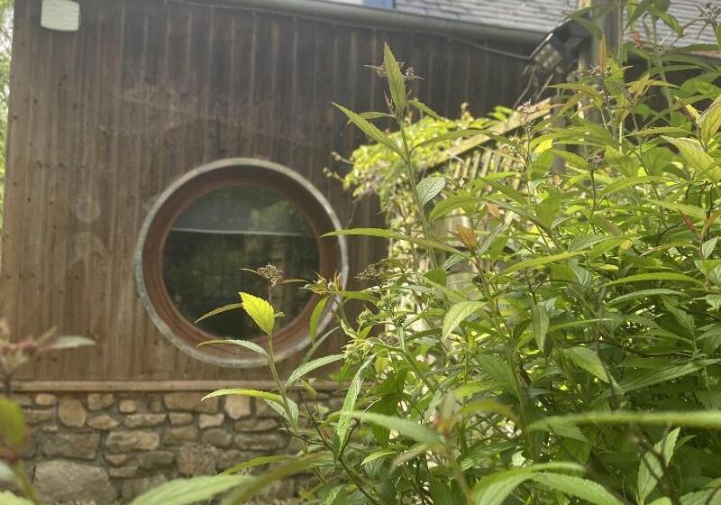 بنسيون Chambres D Hotes Fleur De Sel