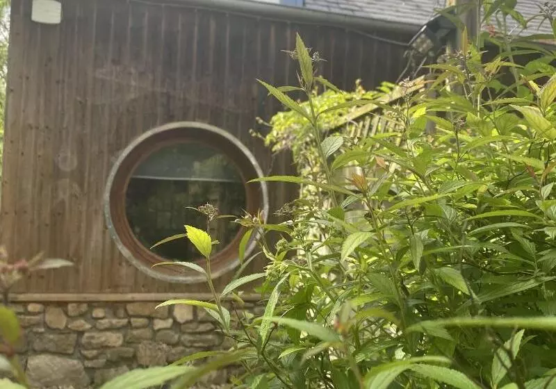 ペンション Chambres D Hotes Fleur De Sel