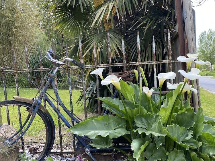 بنسيون Chambres D Hotes Fleur De Sel