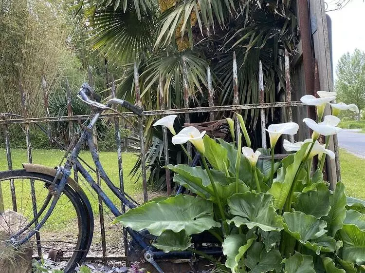 ペンション Chambres D Hotes Fleur De Sel