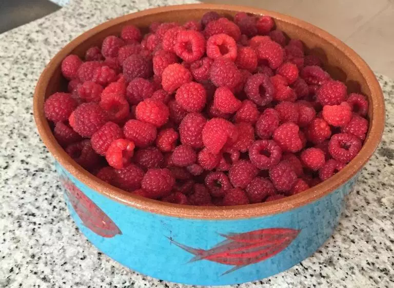 Majatalo Chambres D'hôtes Le Clos Des Tilleuls