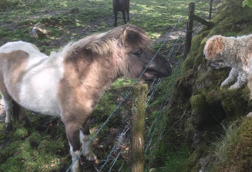 펜션 The Cherrybrook