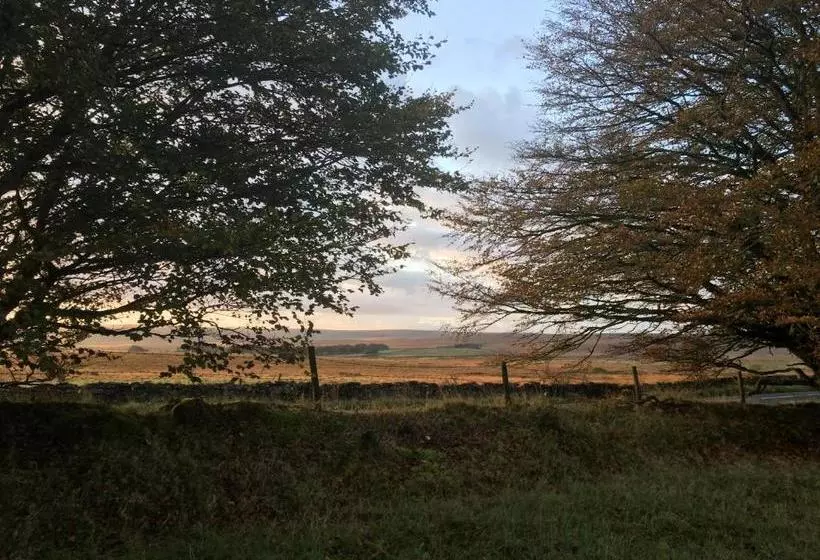 پانسیون The Cherrybrook