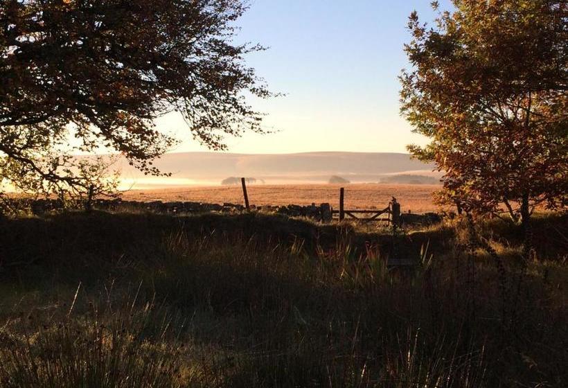 펜션 The Cherrybrook