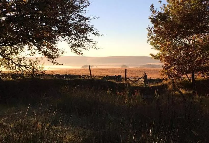 پانسیون The Cherrybrook