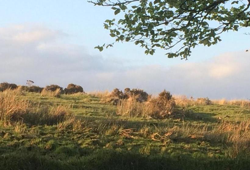 펜션 The Cherrybrook