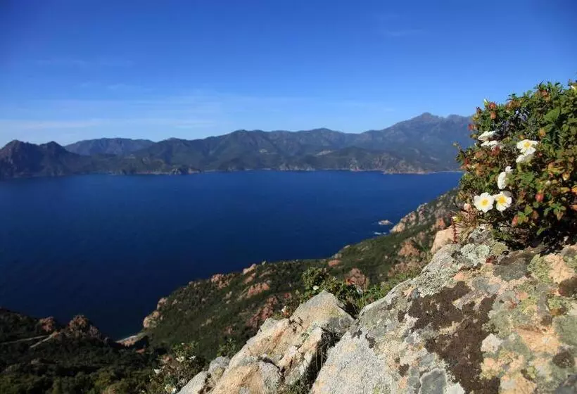 Residenza L 'alivetu